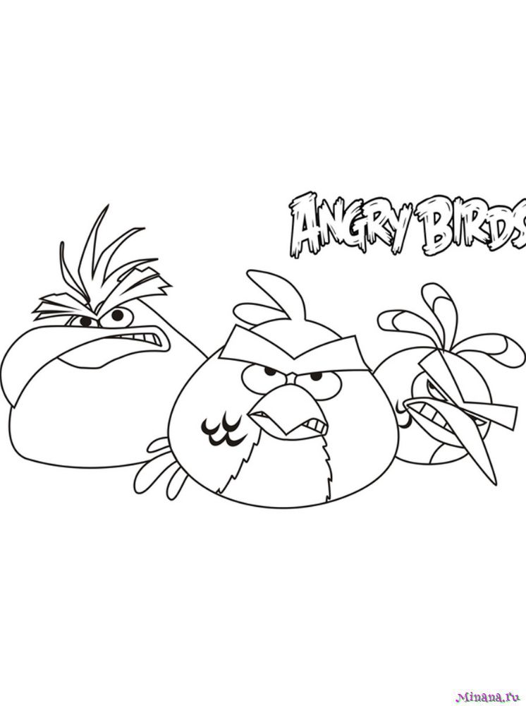 Angry Birds (Энгри Бердз)
