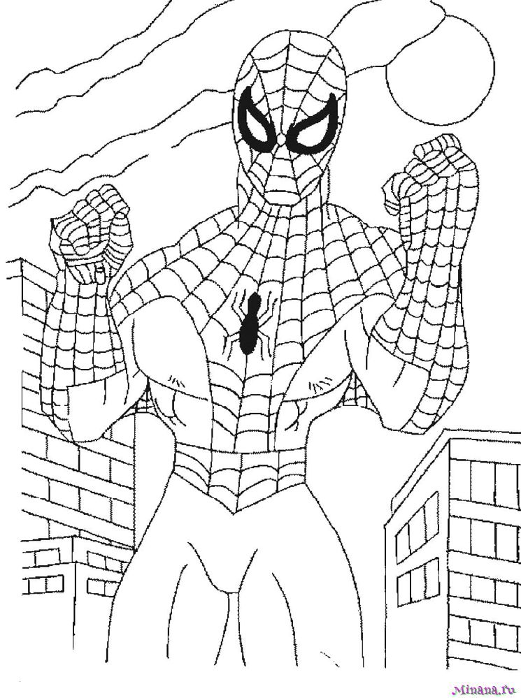 Раскраска spider-man