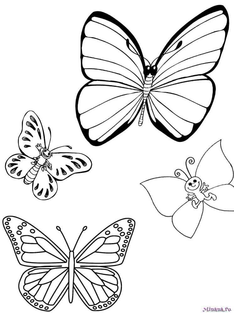 Раскраска Бабочки 3