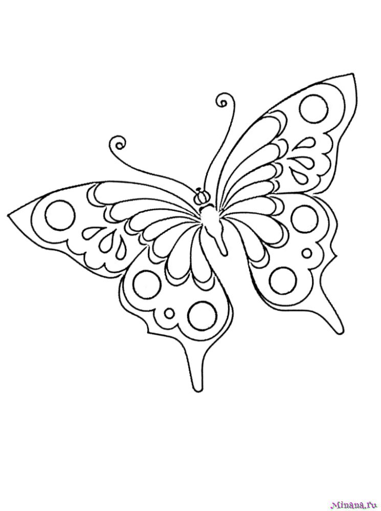 Раскраска Красивая Бабочка
