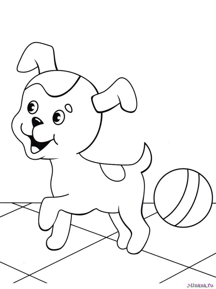 Раскраска Собака для детей Распечатать бесплатно