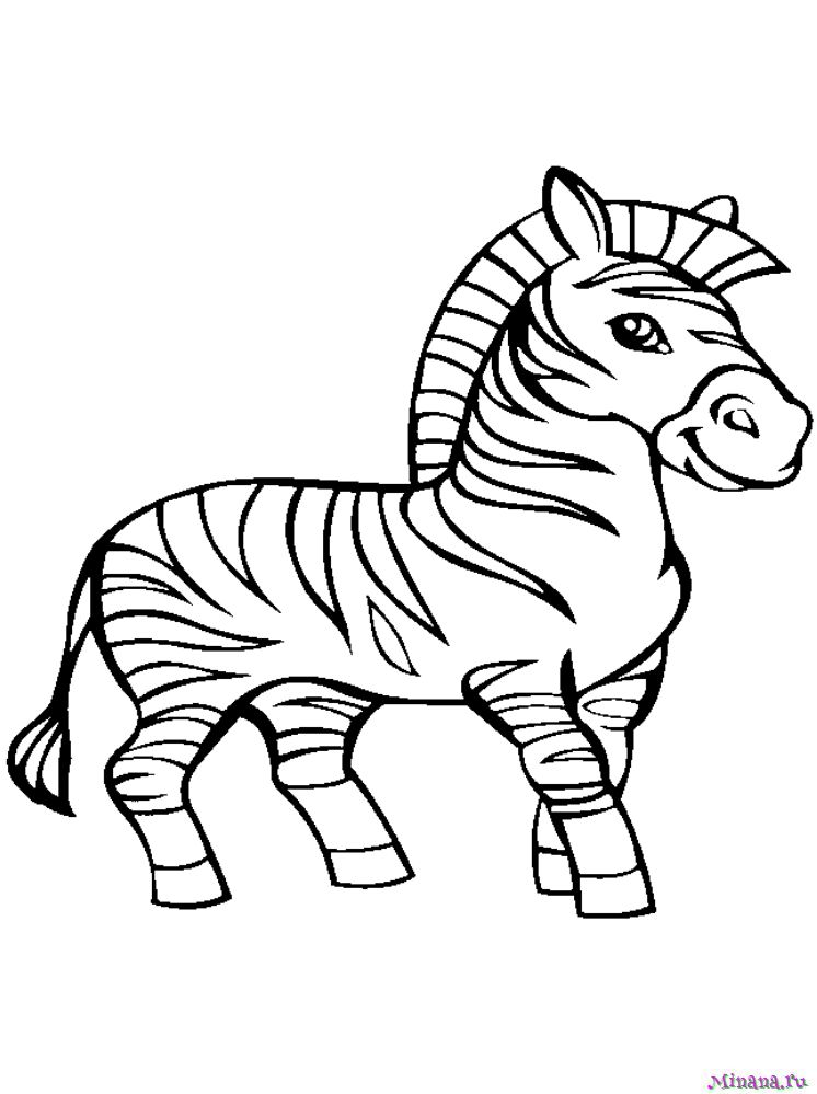Раскраска зебра 3