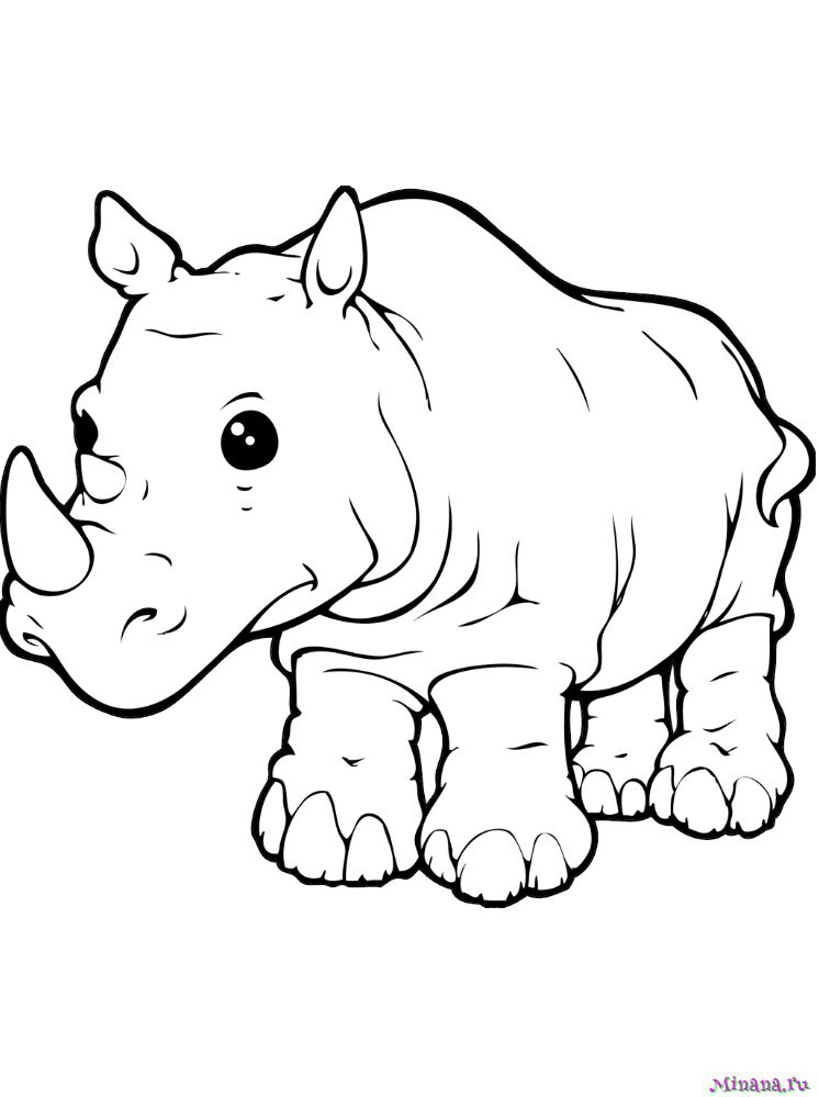Раскраска носорог 3