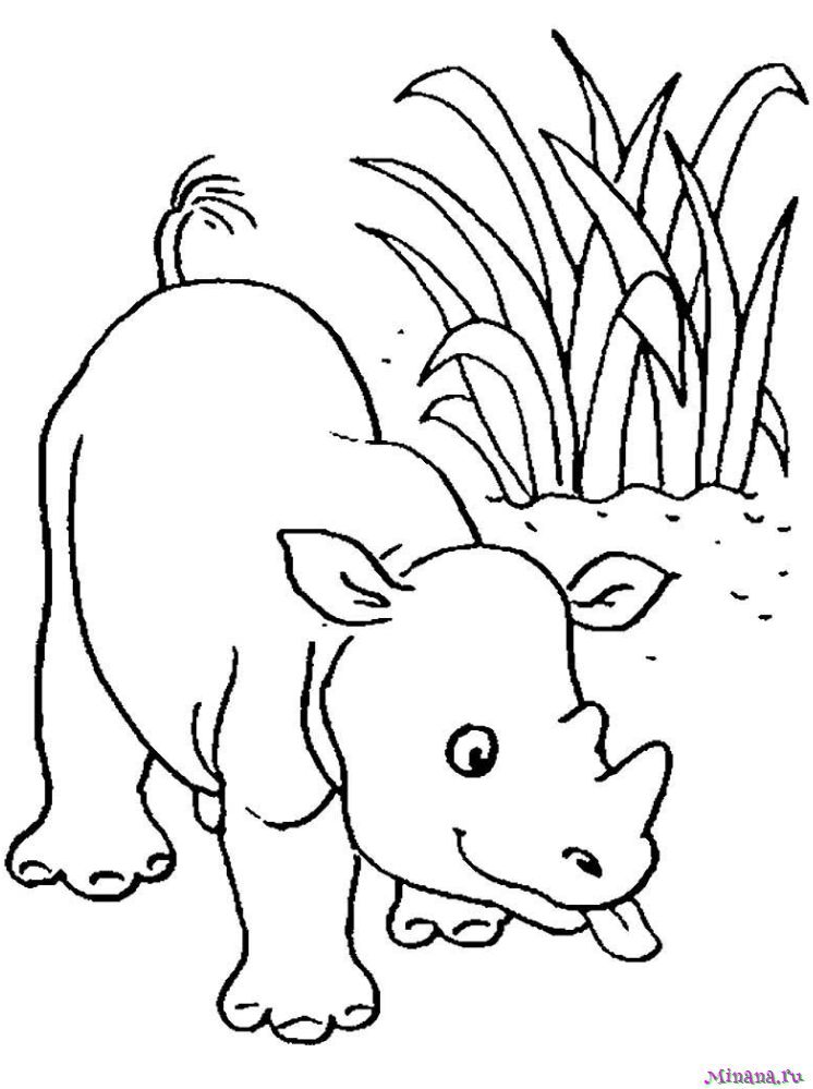 Раскраска носорог 4