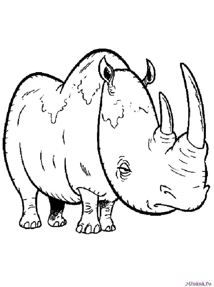 Раскраска картинка носорога