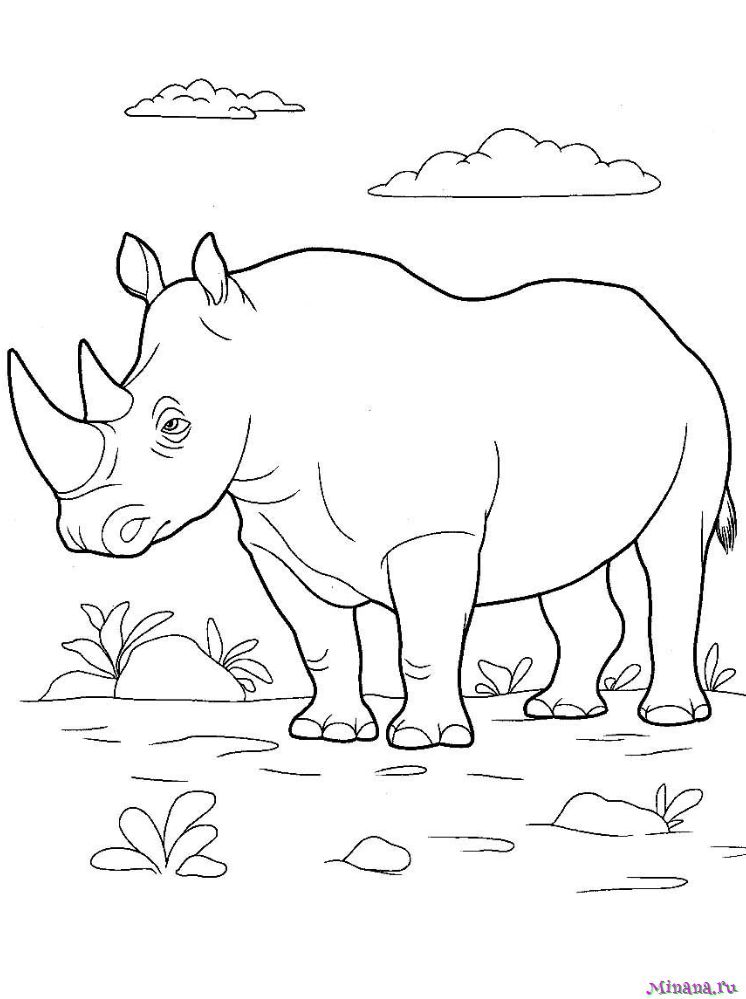 Coloring Page - A Rhino is Eating Grass