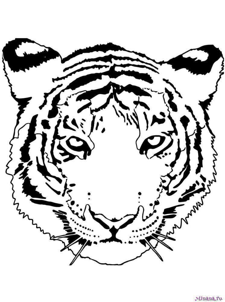 Год 2022 тигра