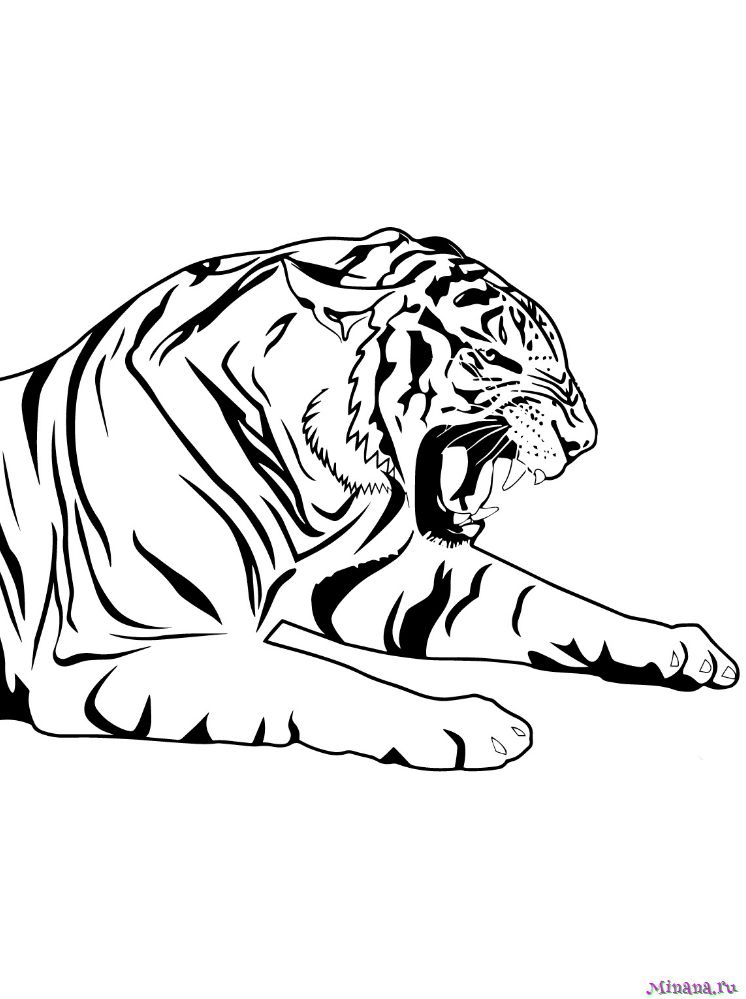 Рисование по номерам Лев и тигр в засаде (NIK-T00096)