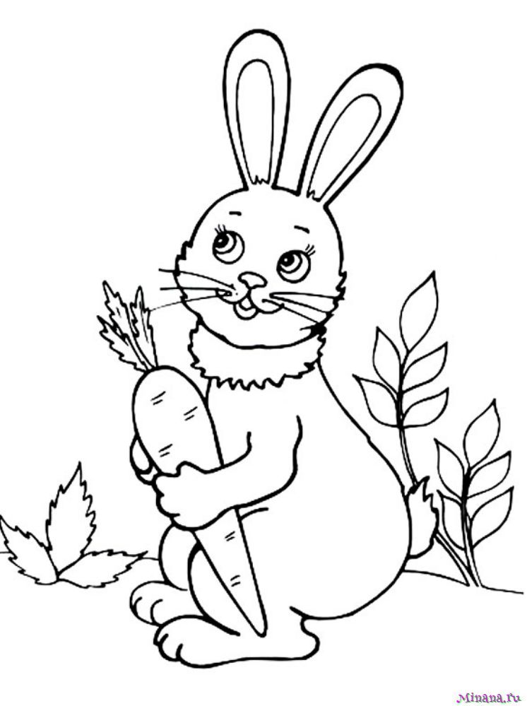 Раскраска заяц 4