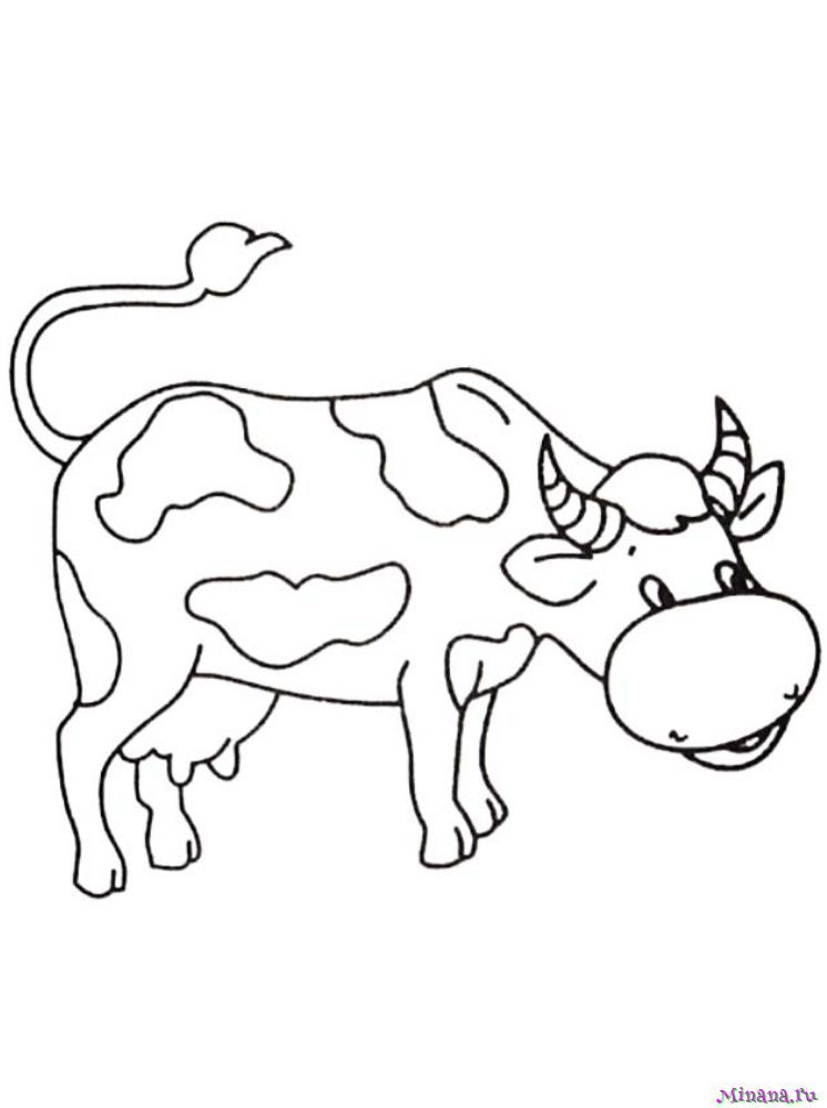 Раскраски Корова — Распечатывайте бесплатно