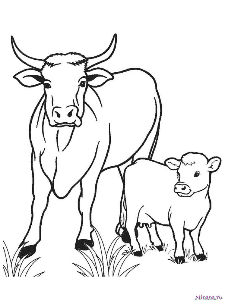 страница 11 | Корова раскраска Изображения – скачать бесплатно на Freepik