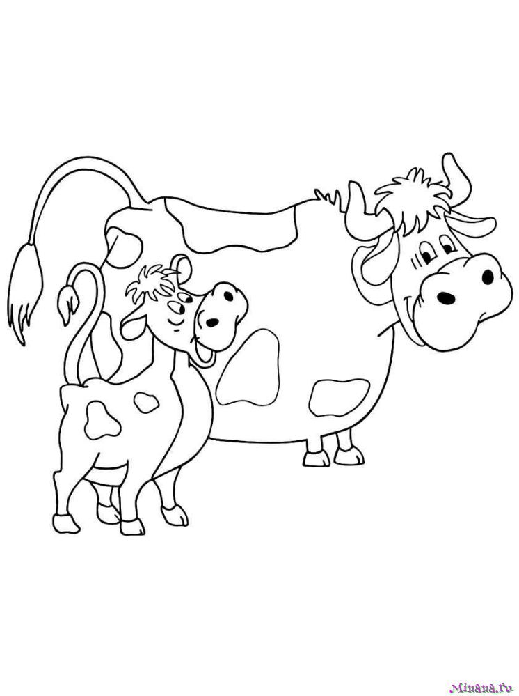 Раскраска корова 3