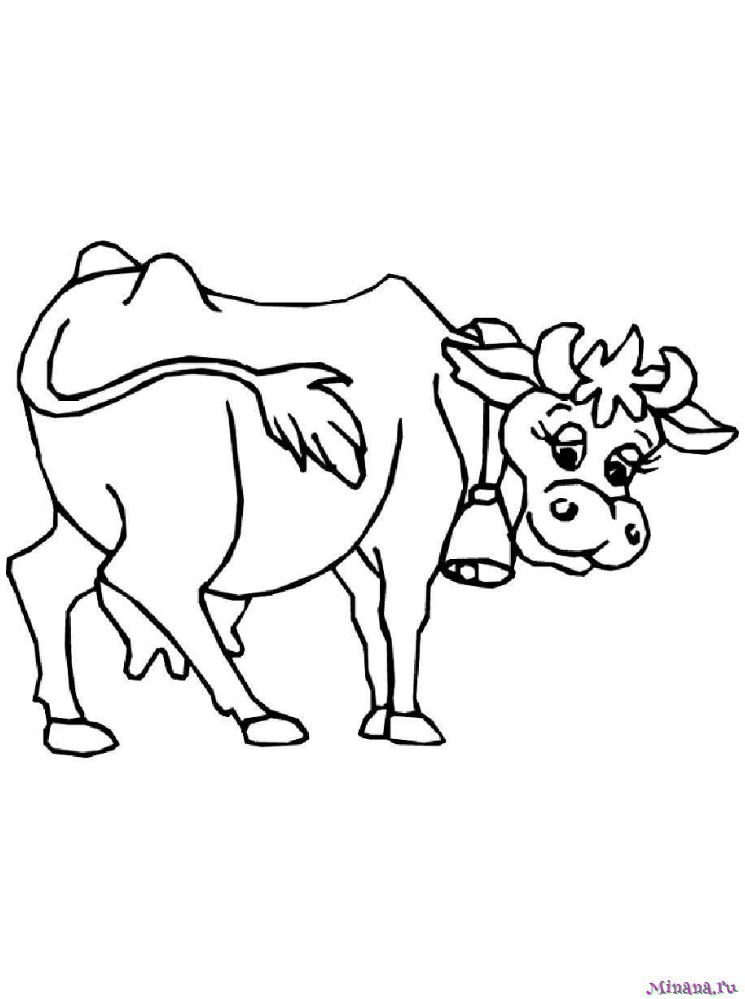 Раскраска корова 4