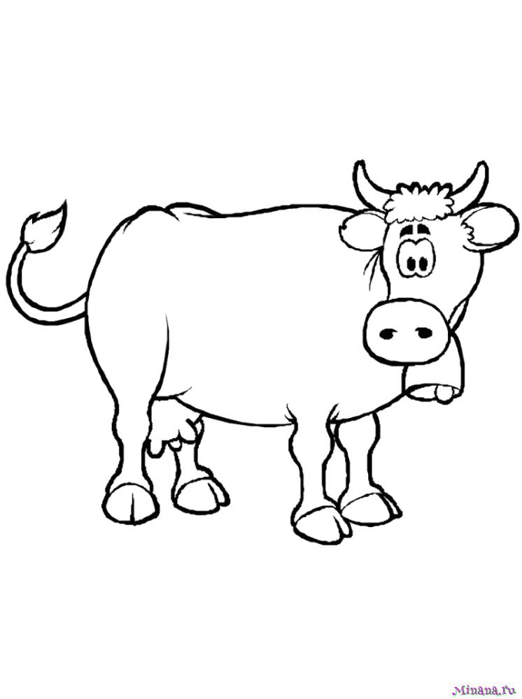 Раскраска корова 5