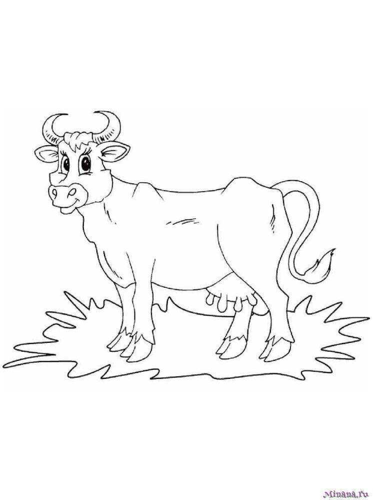 Раскраска корова 6