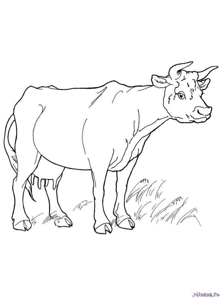 Раскраски Корова для детей 2 3 лет (38 шт.) - скачать или распечатать бесплатно #