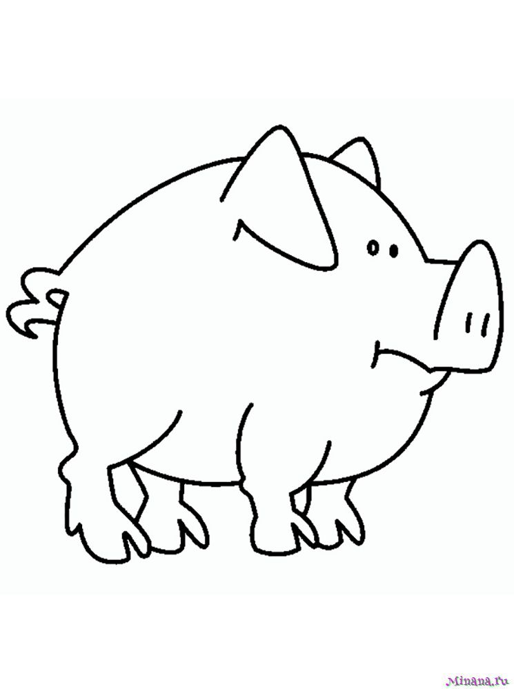 Раскраска свинья 4