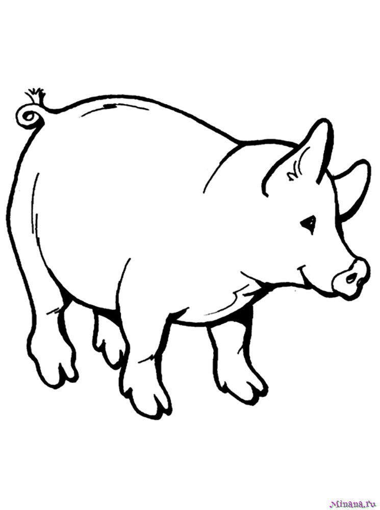Раскраска свинья 5