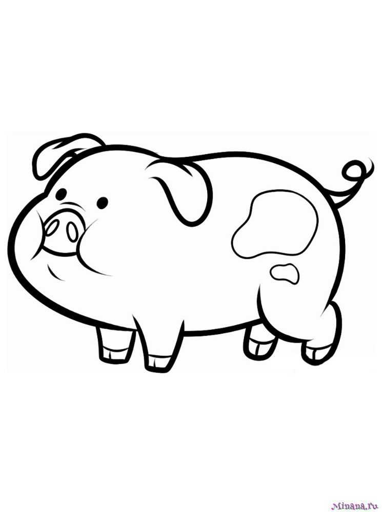 Раскраска свинья 6