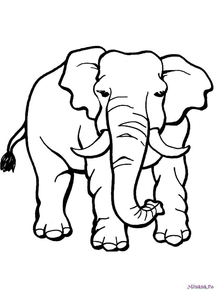 Раскраска слон 3
