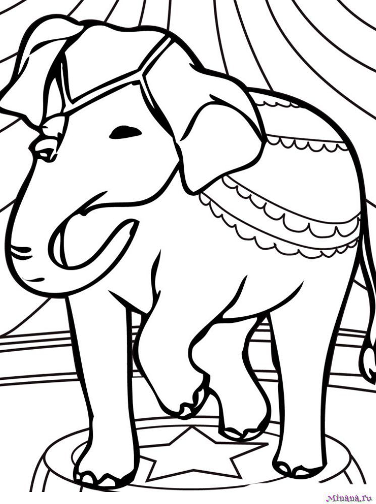 Раскраска слон 6