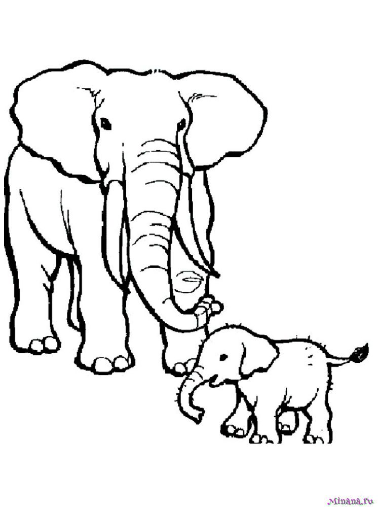 Раскраска слониха со слоненком