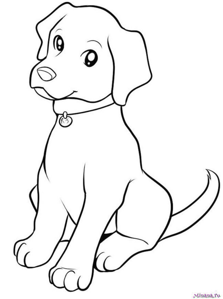 Раскраска Собака и щенки для детей распечатать бесплатно для девочек и мальчиков