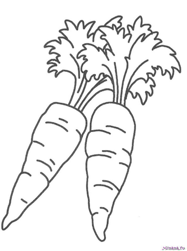 Раскраска Морковь