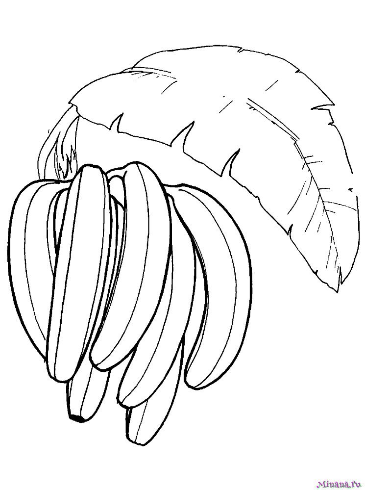 Раскраска Бананы | Раскраски , рисунки ягод и картинки фруктов