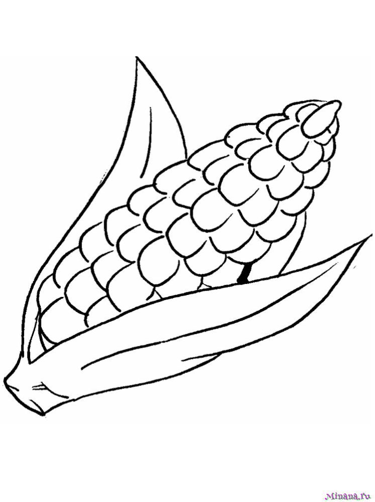 Раскраска кукуруза 3