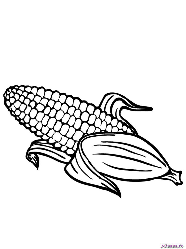 Раскраска кукуруза 8