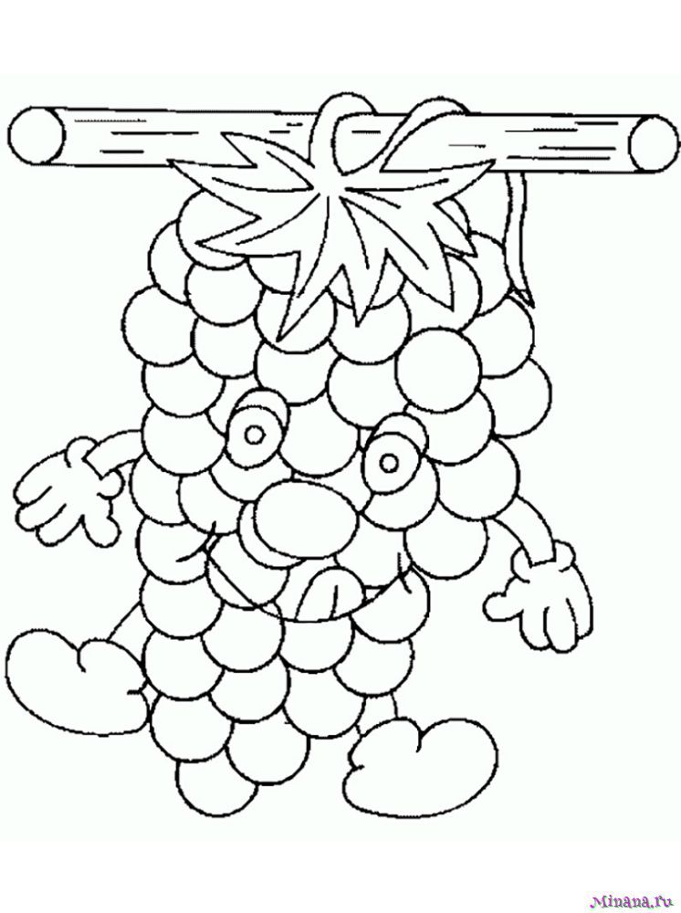 Картина по номерам (раскраска) 40х50 - Веточка винограда