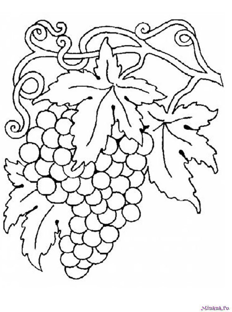 Раскраска виноград 4