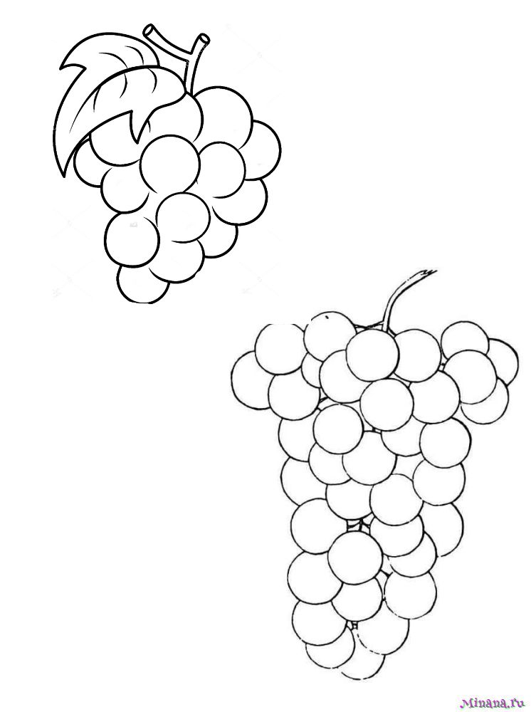 Раскраска виноград 7