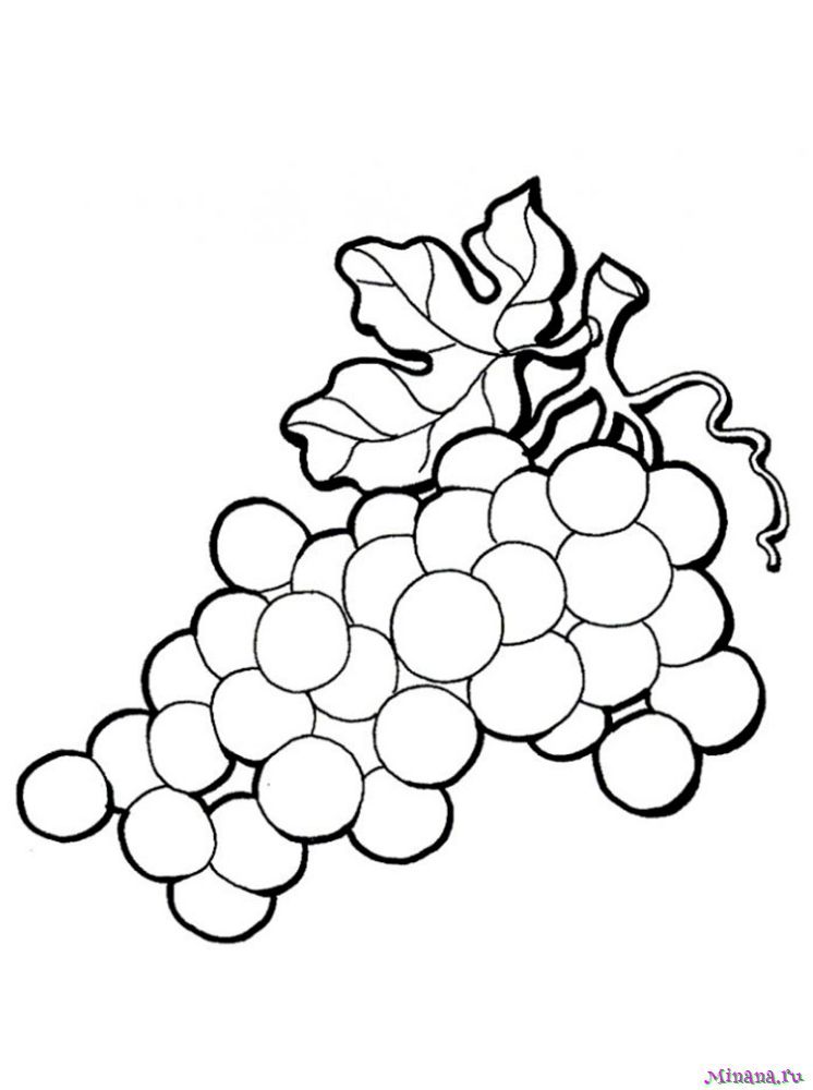 Рисунок винограда легкий - 56 фото