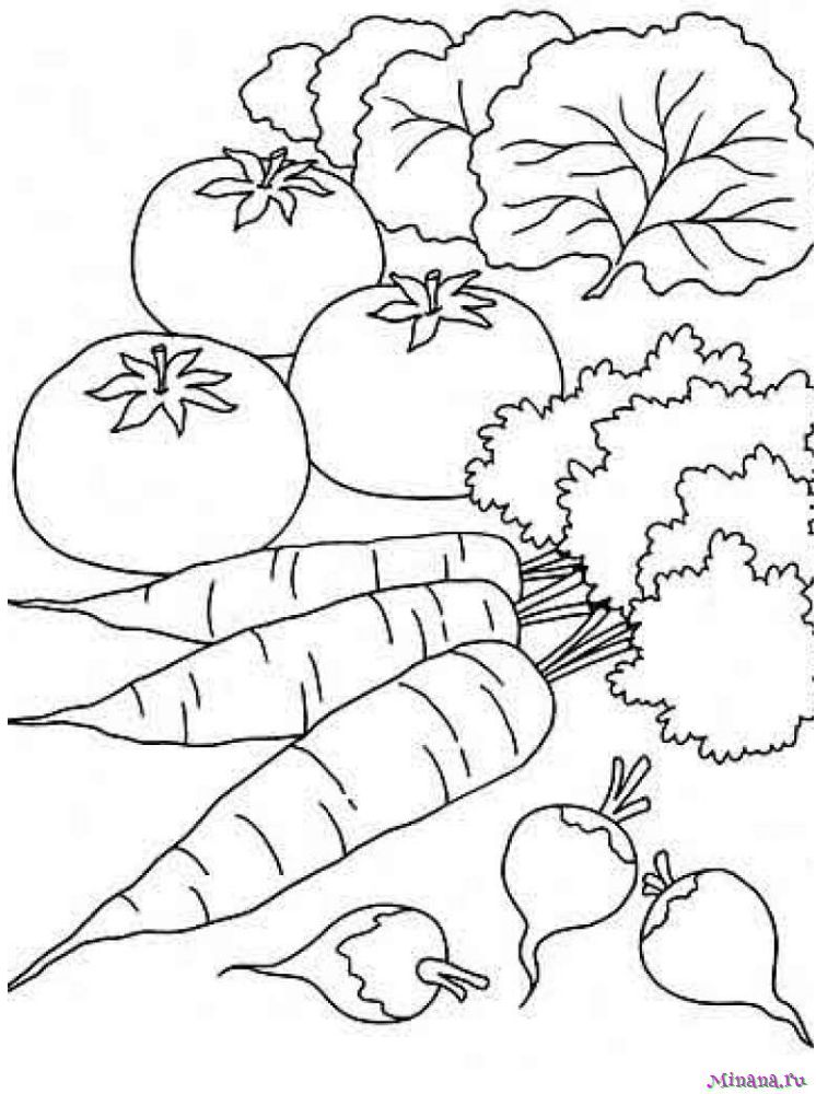 Овощи, картинки для детей - раскраска для распечатки