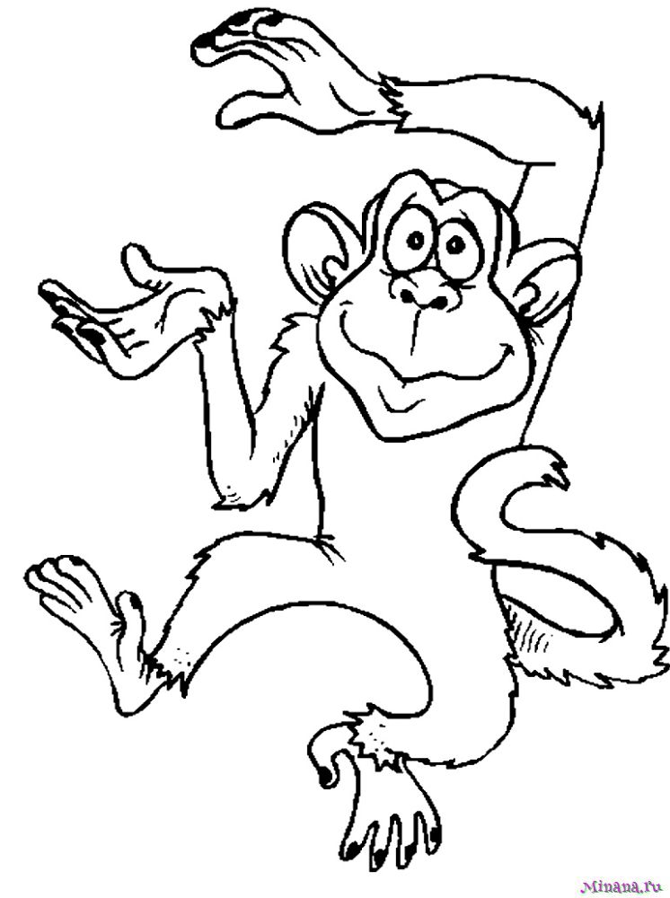 Раскраска a monkey