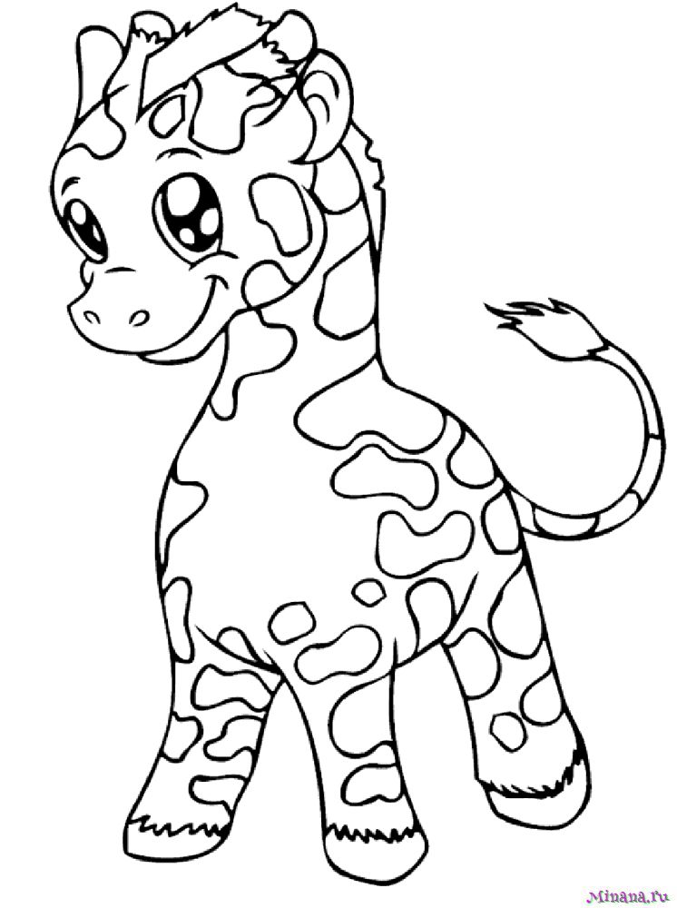 Раскраска жираф 5