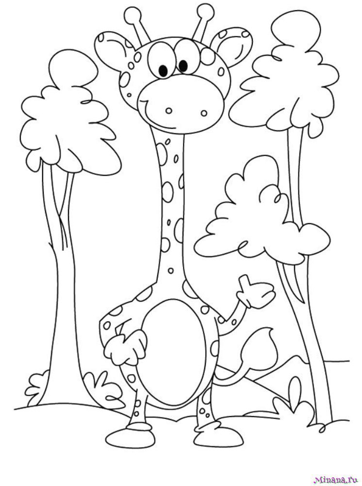 Раскраска жираф 8