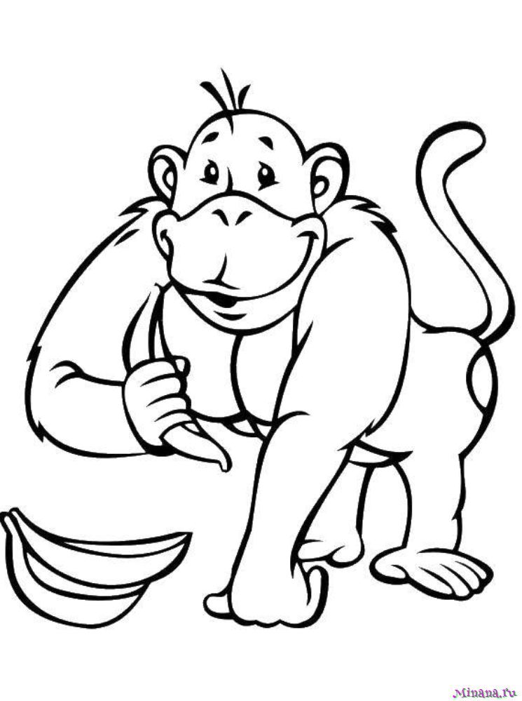 Раскраска обезьян