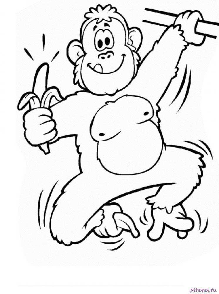 Раскраска обезьянка | Macacos, Desenhos para colorir, Desenhos