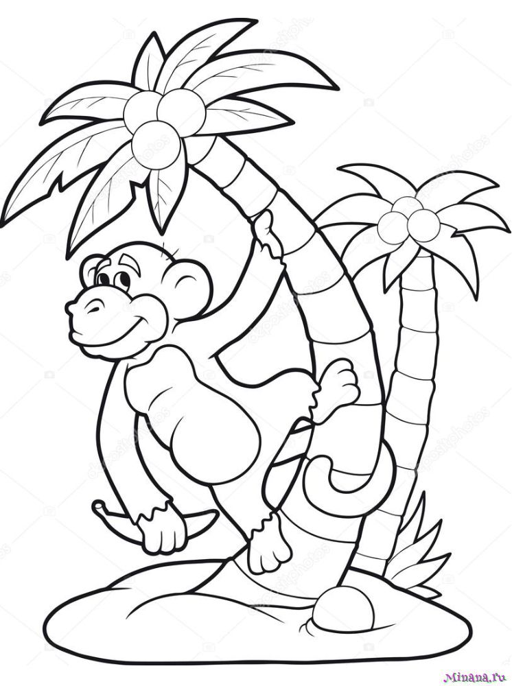 Раскраска Смешные обезьянки в ветке - Раскраски для детей печать онлайн