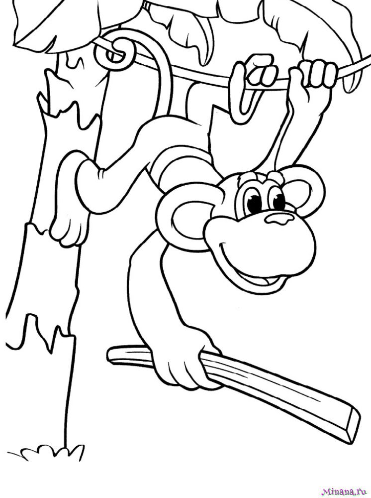Раскраска Обезьянки играют | Раскраски обезьянки. Раскраска обезьяна для детей