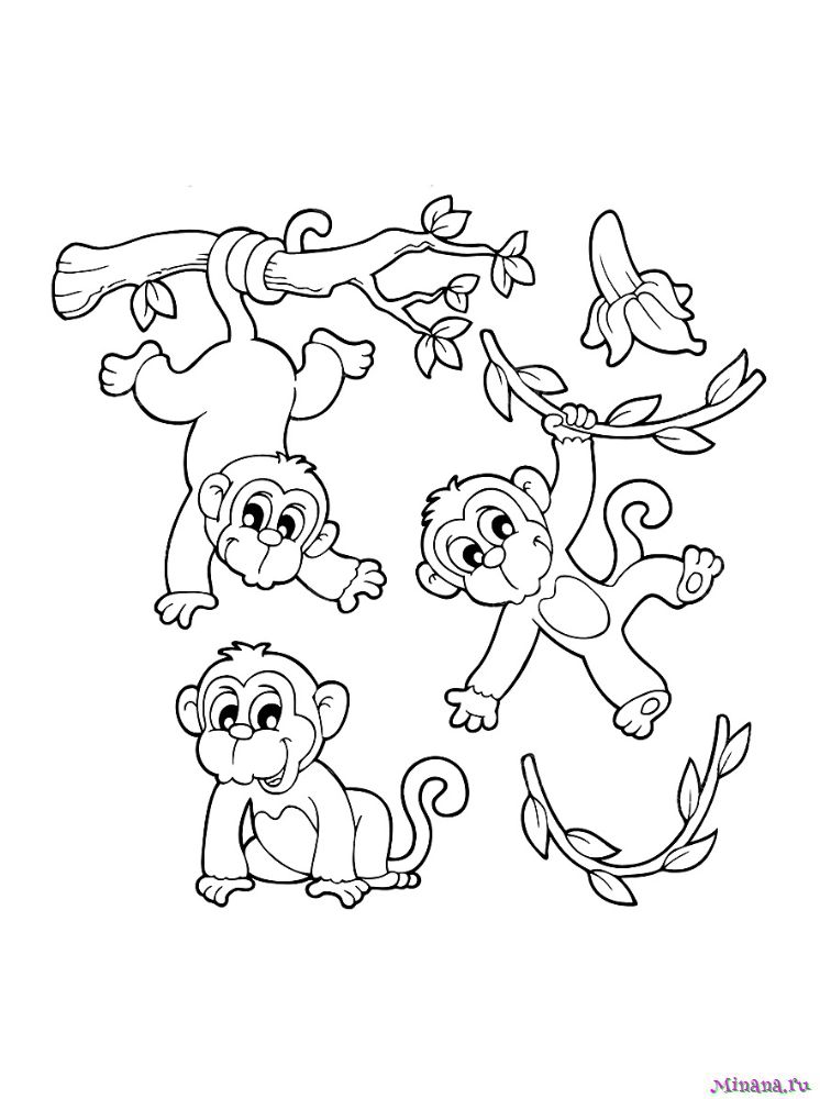 Раскраски для мальчиков Люди x, человек обезьяна на люстре к верх ногами читает книгу